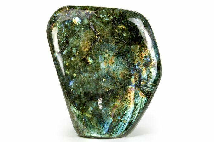 Flashy Free-Standing Polished Labradorite - Madagascar #364196